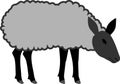 Gray sheep with black head Royalty Free Stock Photo